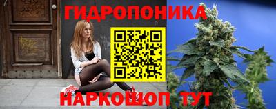 гидра Бийск