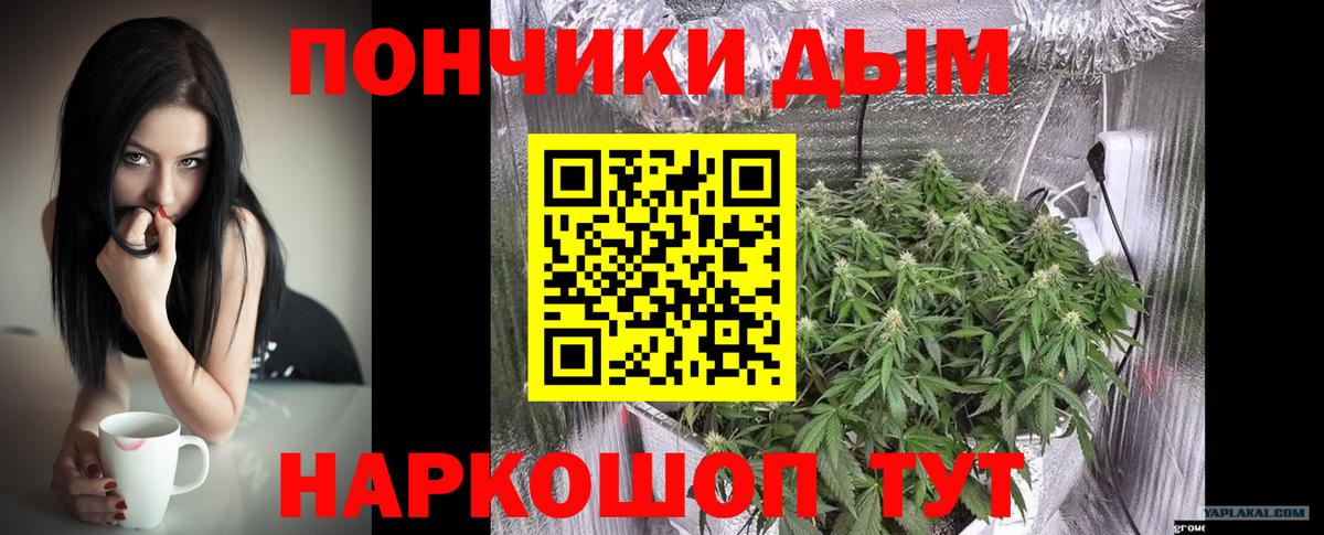 Бошки марихуана сатива Карталы